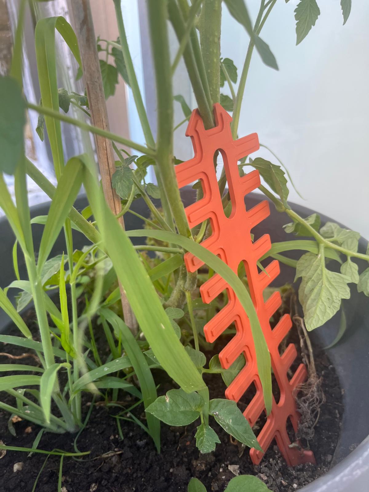 Pflanzentrainer aus PETG – Stabiler Tomaten- & Gemüsestabilisator