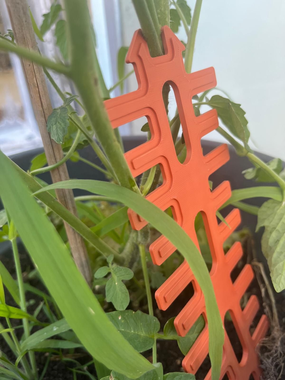 Pflanzentrainer aus PETG – Stabiler Tomaten- & Gemüsestabilisator