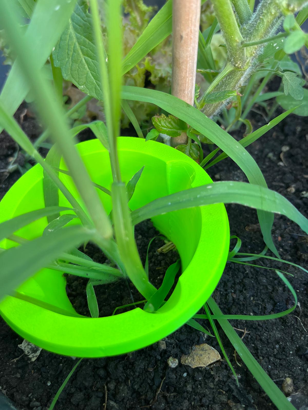 Schneckenstopper "small" aus PETG – Pflanzen natürlich schützen