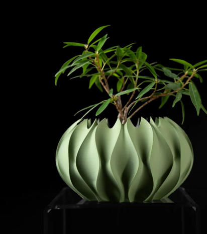 Design-Blumentopf "Bloom Pod" — 3D-gedrucktes Unikat aus PETG | Makercraftprints