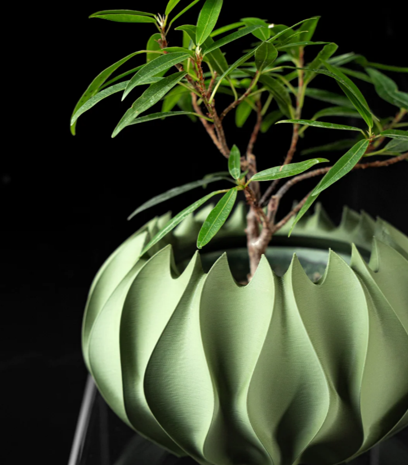 Design-Blumentopf "Bloom Pod" — 3D-gedrucktes Unikat aus PETG | Makercraftprints